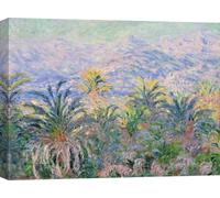 Impression d'art sur toile - Claude Monet, Palmiers à Bordighera - 70x50 cm