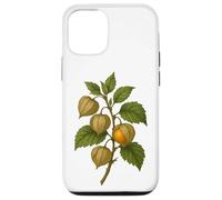 Impression d'art Vintage Botanical Physalis Golden Berry Coque pour iPhone 12/12 Pro
