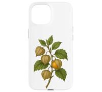 Impression d'art Vintage Botanical Physalis Golden Berry Coque pour iPhone 15