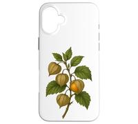 Impression d'art Vintage Botanical Physalis Golden Berry Coque pour iPhone 16 Plus