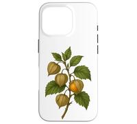 Impression d'art Vintage Botanical Physalis Golden Berry Coque pour iPhone 16 Pro