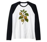 Impression d'art Vintage Botanical Physalis Golden Berry Manche Raglan