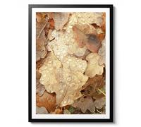 Impression de feuilles d'automne, poster photographique, art mural nature, décoration de nature morte, thème d'automne, tons terreux, cadeau, archivage mat, A5 (encadré) - 21 x 14,8 cm