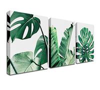 Impression de plantes vertes - Poster botanique Peinture Monstera succulentes feuilles peu profondes Décoration murale moderne minimaliste Feuilles tropicales Décoration pour salon, chambre à coucher