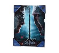 SD Toys Poster Harry Potter et Voldemort Multicolore 41 x 31 x 3 cm