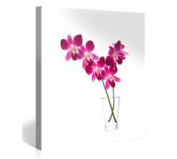 Impression Giclée sur Toile en Grand Format - Orchids - 80x80cm - Photo sur Toile de Tendue sur Châssis en Bois - Tableau Artistique Contemporain - Image Déco d'art Murale Prêt à Accrocher