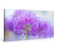 Impression Gi sur Toile en Grand Format - PURPLE MACRO FLOWER - 100x50cm - Photo sur Toile de Tendue sur Châssis en bois - Tableau Artistique Contemporain - Image Déco d'Art Murale Prêt à Accrocher