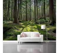 Impression photographique non tissée de nature, forêt, grand arbre, mousse - Décoration murale moderne pour salon, chambre à coucher, chambre d'enfant, affiche résistante à la déchirure, surréalisme