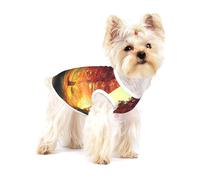 Impression scène d'automne pour petit chien, gilet pour animal de compagnie, T-shirts sans manches en coton doux respirant pour animaux de compagnie débardeur vêtements pour chiots et chats