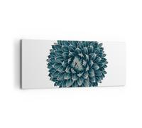 Impression sur Toile 100x40cm Tableaux Image Photo Agave Reine Victoria