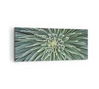 Impression sur Toile 100x40cm Tableaux Image Photo Agave Vert Plante Decoration