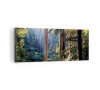 Impression sur Toile 100x40cm Tableaux Image Photo Aube Arbres Forêt Decoration