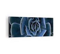 Impression sur Toile 100x40cm Tableaux Image Photo Bleu Cactus Fleur Decoration