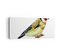 Impression sur Toile 100x40cm Tableaux Image Photo Chardonneret Oiseau Aquarelle