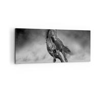 Impression sur Toile 100x40cm Tableaux Image Photo Cheval Galop Dynamique
