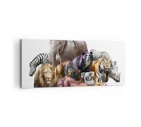 Impression sur Toile 100x40cm Tableaux Image Photo Les animaux koala lion singe
