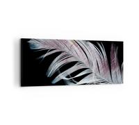 Impression sur Toile 100x40cm Tableaux Image Plume Les Couleurs La Délicatesse