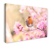Impression sur toile (100x70 cm) oiseau avec fleurs de cerisier, fleurs de forêt printanières, couleurs chaudes, photos d'animaux, photographie de nature, toile sur cadre en bois