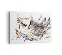 Impression sur Toile 100x70cm Tableaux Chouette plumes la sagesse la nature