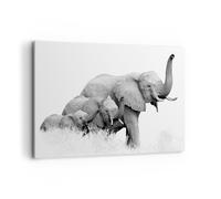 Impression sur Toile 100x70cm Tableaux Image Éléphants Famille Noir Et Blanc