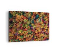 Impression sur Toile 100x70cm Tableaux Image L'Automne Point De Vue Aviaire