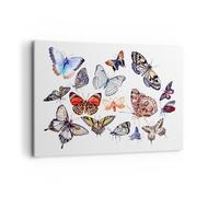 Impression sur Toile 100x70cm Tableaux Image Papillons illustration ailes