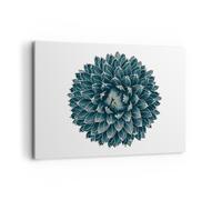Impression sur Toile 100x70cm Tableaux Image Photo Agave Reine Victoria
