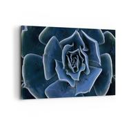 Impression sur Toile 100x70cm Tableaux Image Photo Bleu Cactus Fleur Decoration
