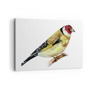 Impression sur Toile 100x70cm Tableaux Image Photo Chardonneret Oiseau Aquarelle