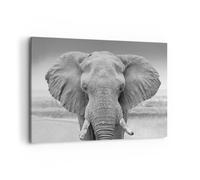 Impression sur Toile 100x70cm Tableaux Image Photo Éléphant Afrique Des Animaux