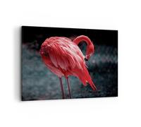 Impression sur Toile 100x70cm Tableaux Image Photo Flamant Rose Rose Oiseau