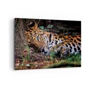 Impression sur Toile 100x70cm Tableaux Image Photo Léopard Portrait Jaguar