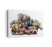 Impression sur Toile 100x70cm Tableaux Image Photo Les animaux koala lion singe