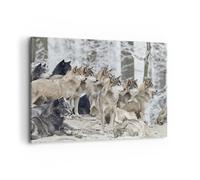Impression sur Toile 100x70cm Tableaux Image Photo Meute Loups Hiver Decoration