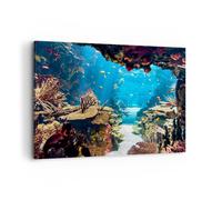 Impression sur Toile 100x70cm Tableaux Image Photo Océan Récif Poissons Corail