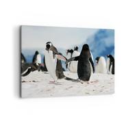 Impression sur Toile 100x70cm Tableaux Image Photo Pingouins Hiver nature neige