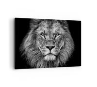 Impression sur Toile 100x70cm Tableaux Image Photo Portrait Lion Noir Et Blanc