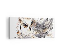 Impression sur Toile 120x50cm Tableaux Chouette plumes la sagesse la nature