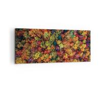 Impression sur Toile 120x50cm Tableaux Image L'Automne Point De Vue Aviaire