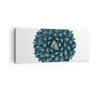 Impression sur Toile 120x50cm Tableaux Image Photo Agave Reine Victoria