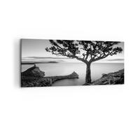 Deco Cadre Décoration Salon Arbre Noir Et Blanc Vue Moderne Impression sur Toile 120x50cm Image Tableau Decoration Murale Chambre Panoramique Art Wall Grand Tableaux Decoratifs Muraux AB120x50-4297