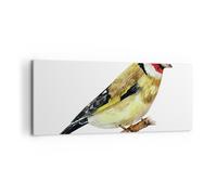 Impression sur Toile 120x50cm Tableaux Image Photo Chardonneret Oiseau Aquarelle