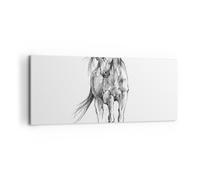 Impression sur Toile 120x50cm Tableaux Image Photo Cheval Galop Des Animaux