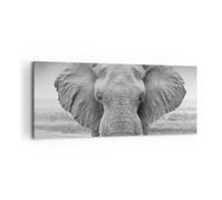 Impression sur Toile 120x50cm Tableaux Image Photo Éléphant Afrique Des Animaux