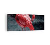 Impression sur Toile 120x50cm Tableaux Image Photo Flamant Rose Rose Oiseau