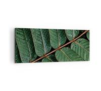 Impression sur Toile 120x50cm Tableaux Image Photo Gouttes Eau Feuilles