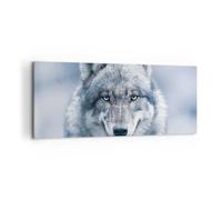 Impression sur Toile 120x50cm Tableaux Image Photo Loup Prédateur Wildness