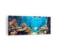 Impression sur Toile 120x50cm Tableaux Image Photo Océan Récif Poissons Corail