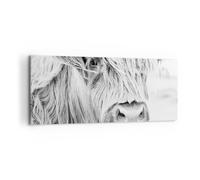 Impression sur Toile 120x50cm Tableaux Image Photo Vache Écossais Des Animaux