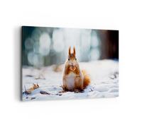 Impression sur Toile 120x80cm Tableaux Image Écureuil hiver neige nourriture